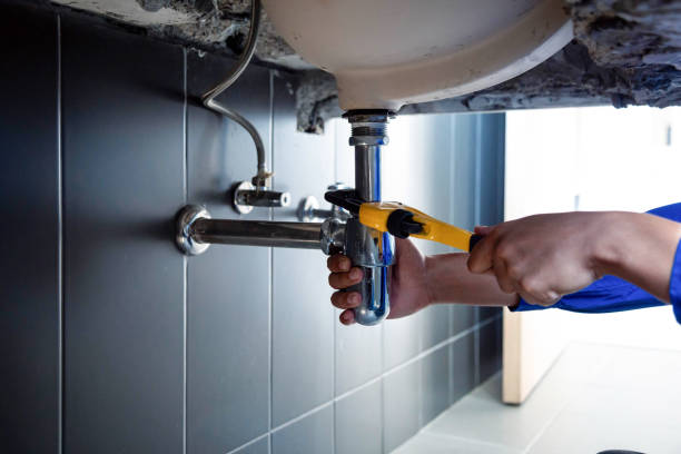 Best Plumbing System Maintenance  in Lake Odessa, MI